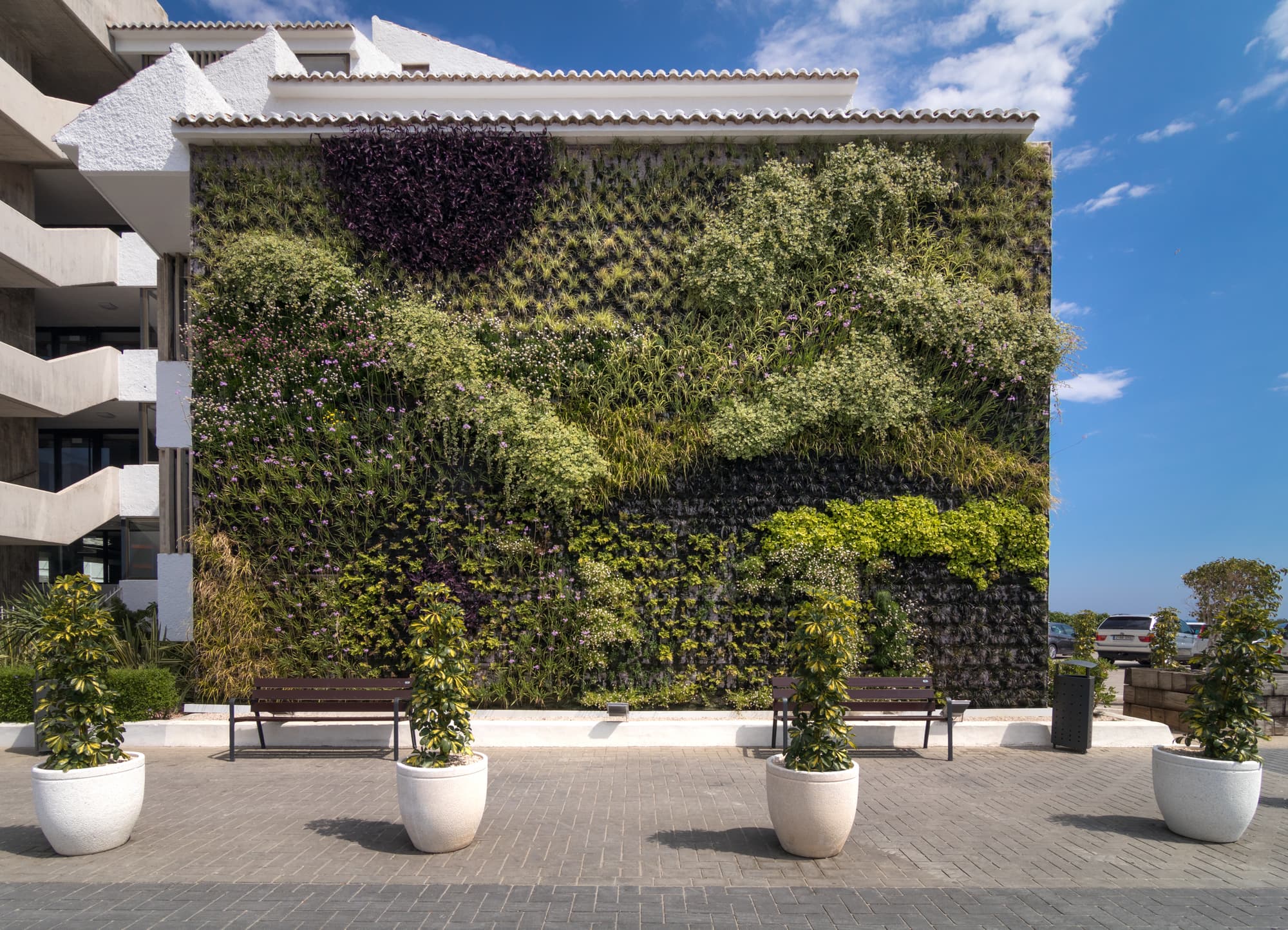 Cap Negret, General view