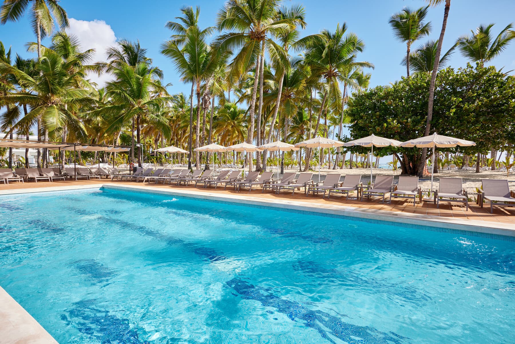 Riu Palace Macao - Adults Only - All Inclusive, Pool