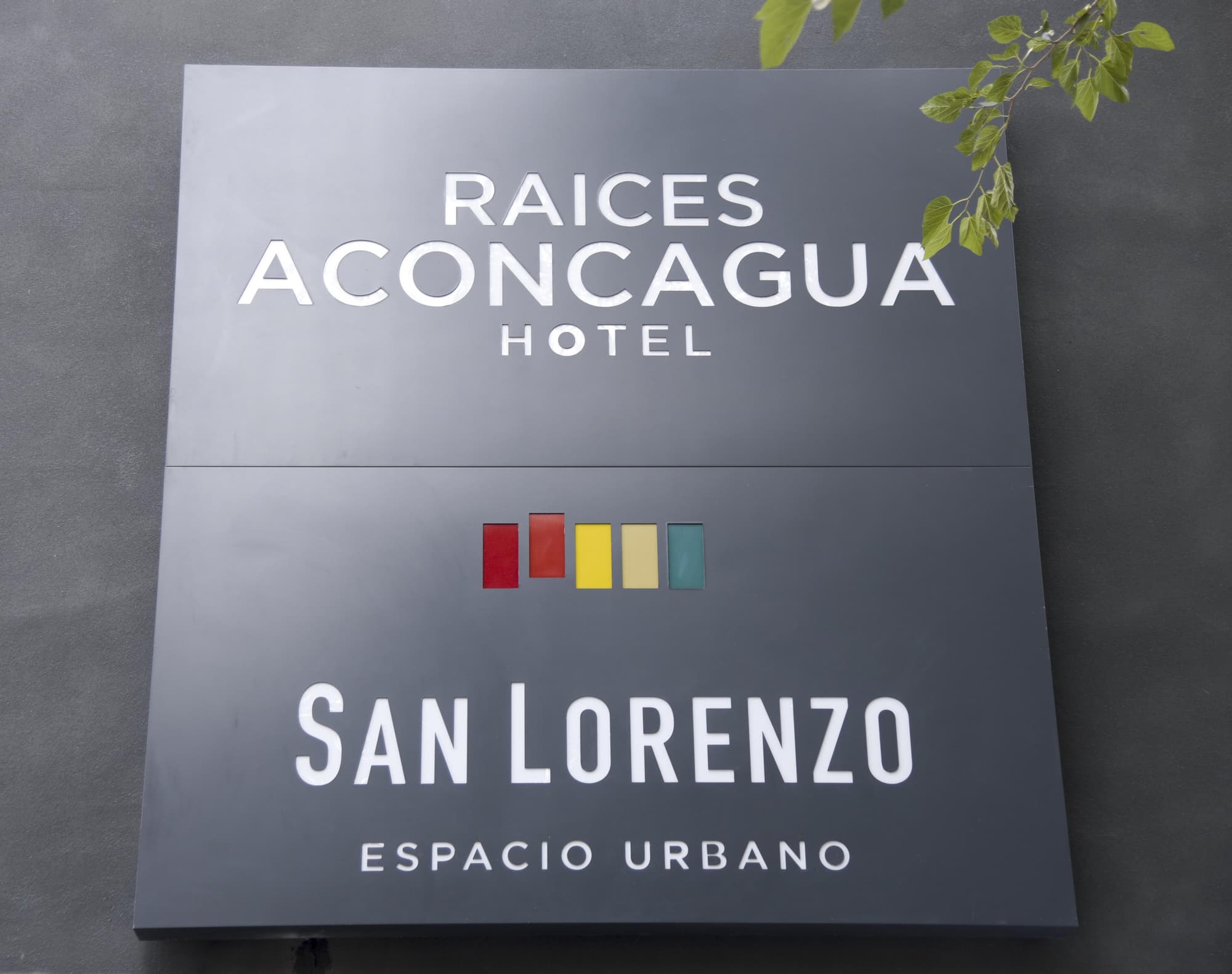 Raices Aconcagua, General view