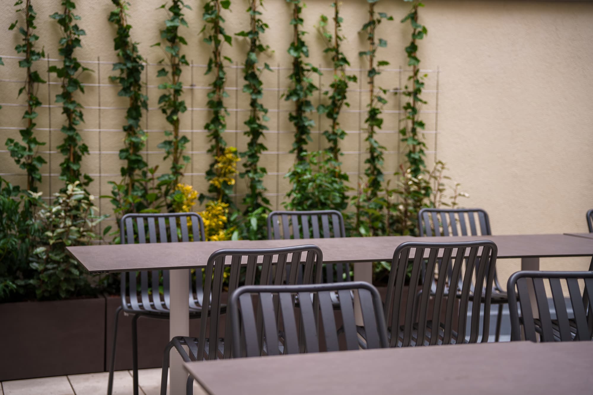 The Honest Budapest by Chic&Basic, Terrace