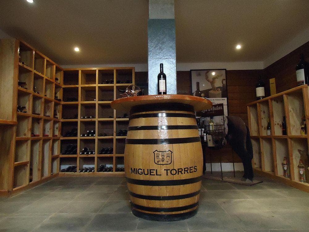 Iorana Tolache, General view