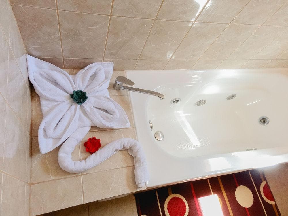 Iorana Tolache, General view