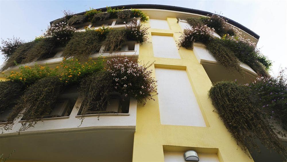 Patrizia Romana Palace, General view