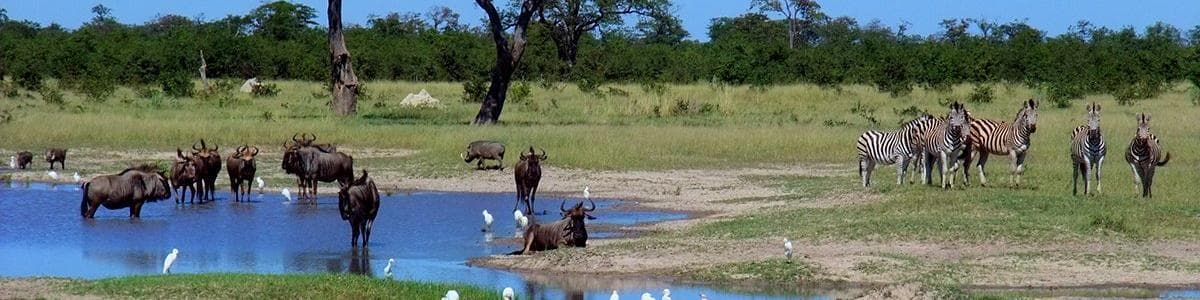 Национален парк Чобе, Ботсвана