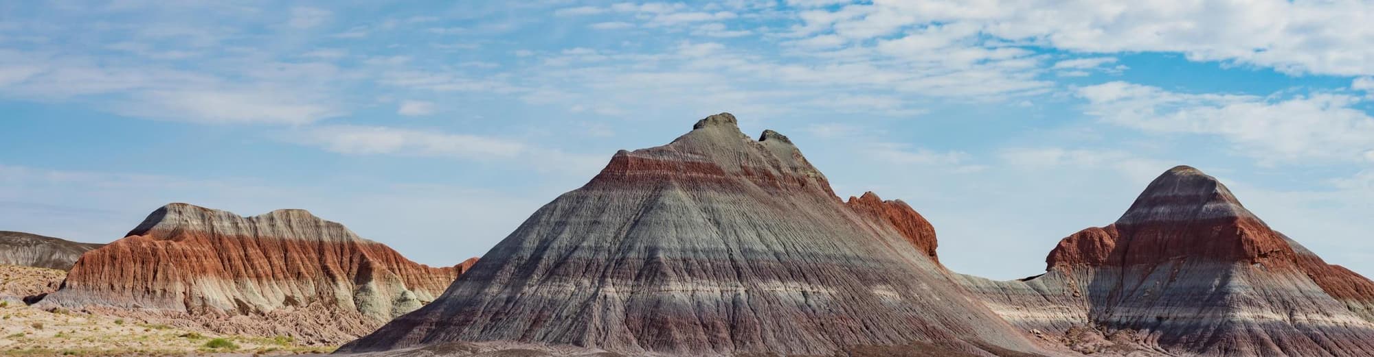 هولبروك, الولايات المتحدة الأمريكية