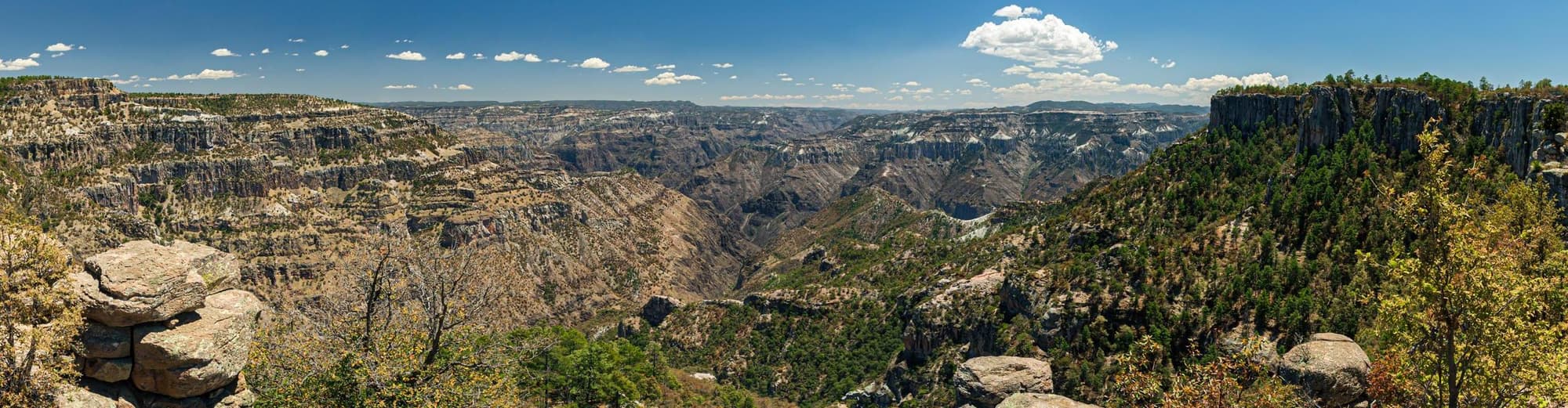 Κριλ, Μεξικό