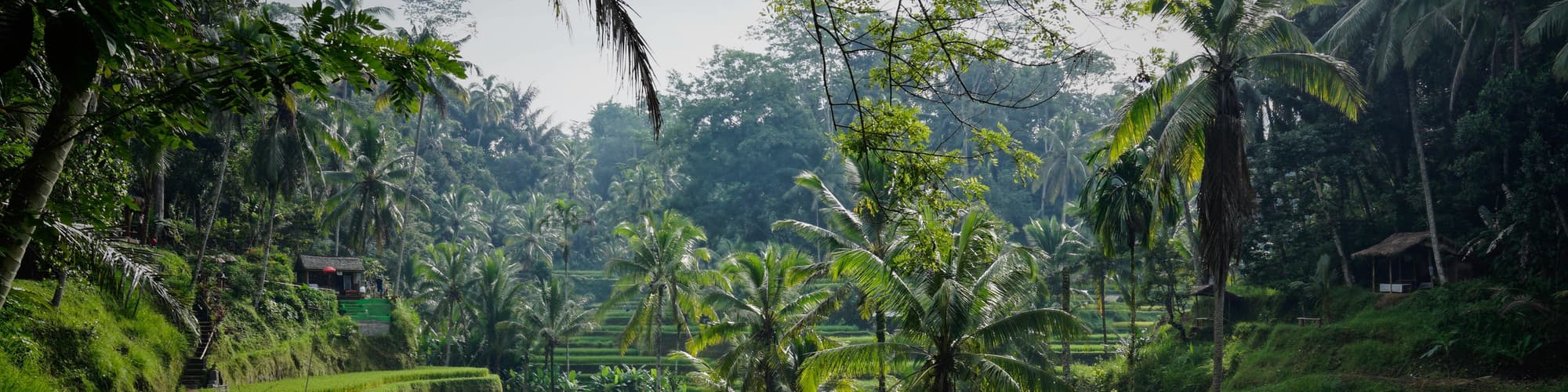 سوکاواتی, اندونزی