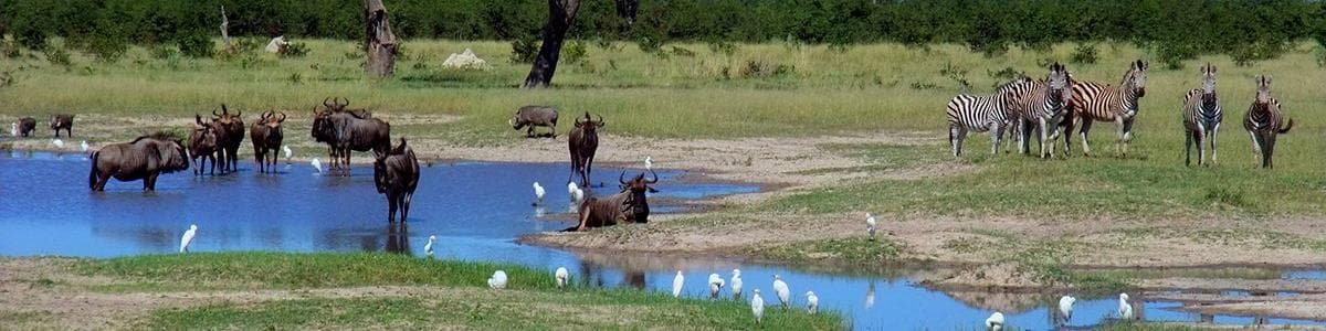 Савути, Ботсвана