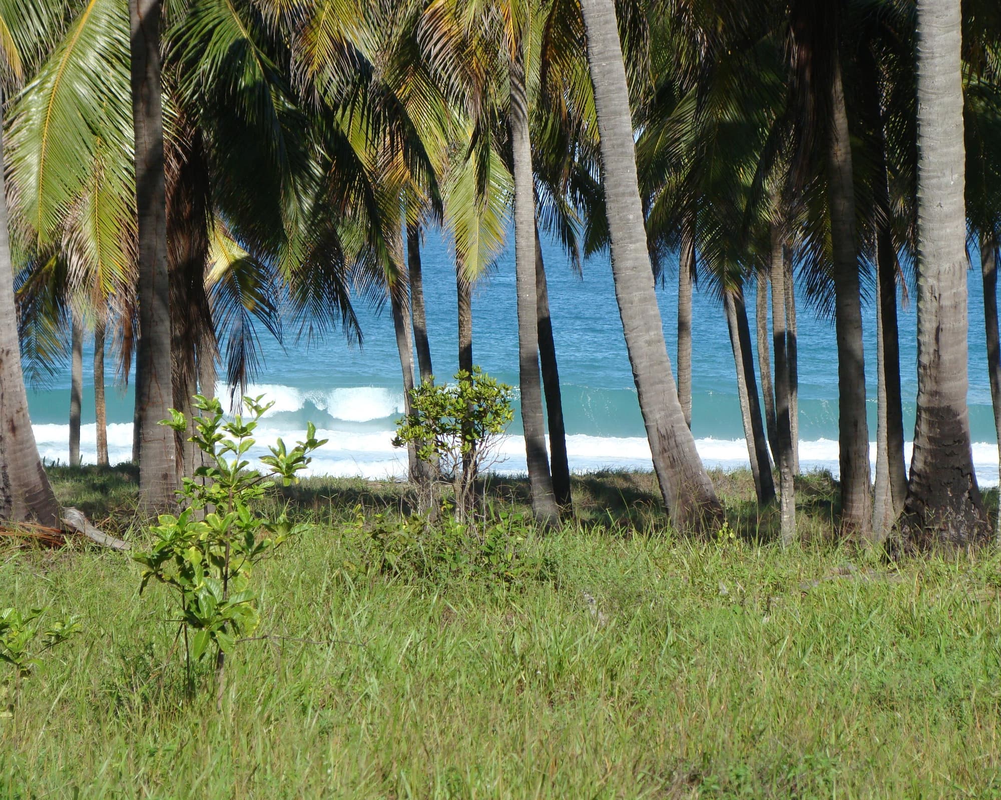 Praia do Frances, Brasil