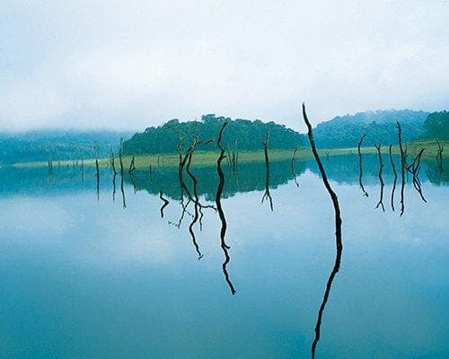 Thekkady, Inde