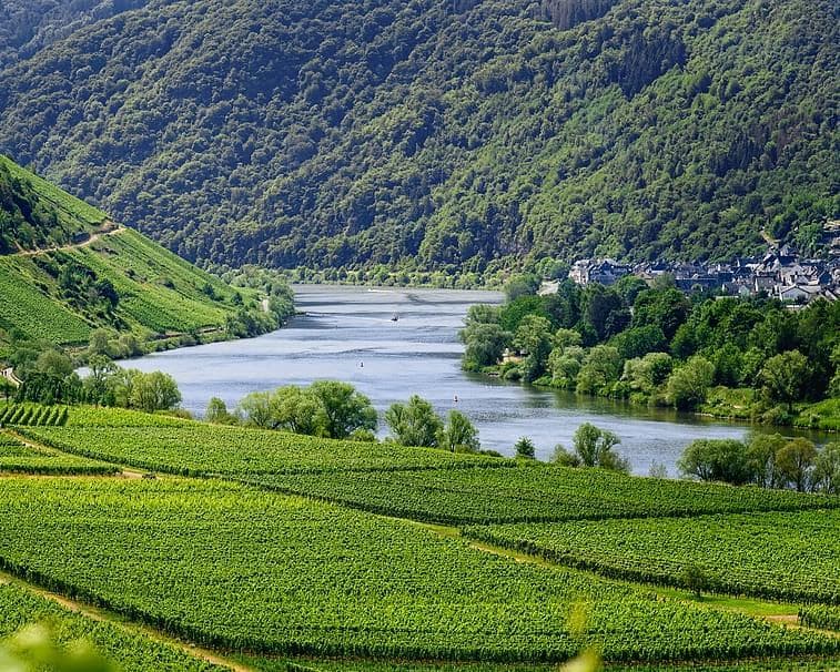 Mosella, Germania