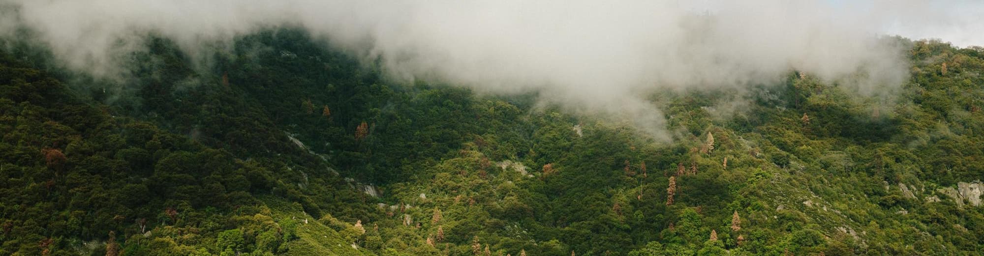 Sequoia and Kings Canyon National Park CA, United States of America