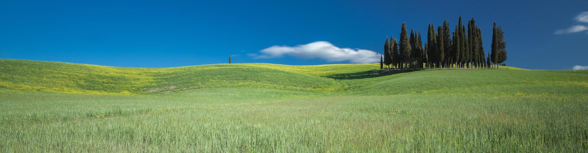 Sant Quiric d'Orcia, Itàlia