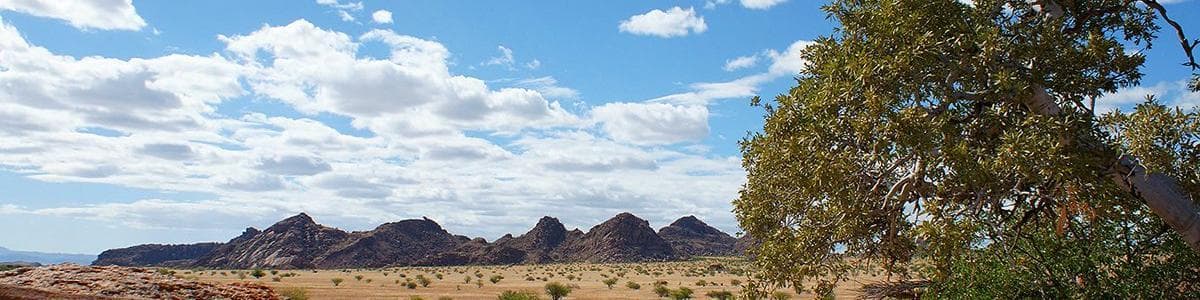 科里哈斯, 納米比亞