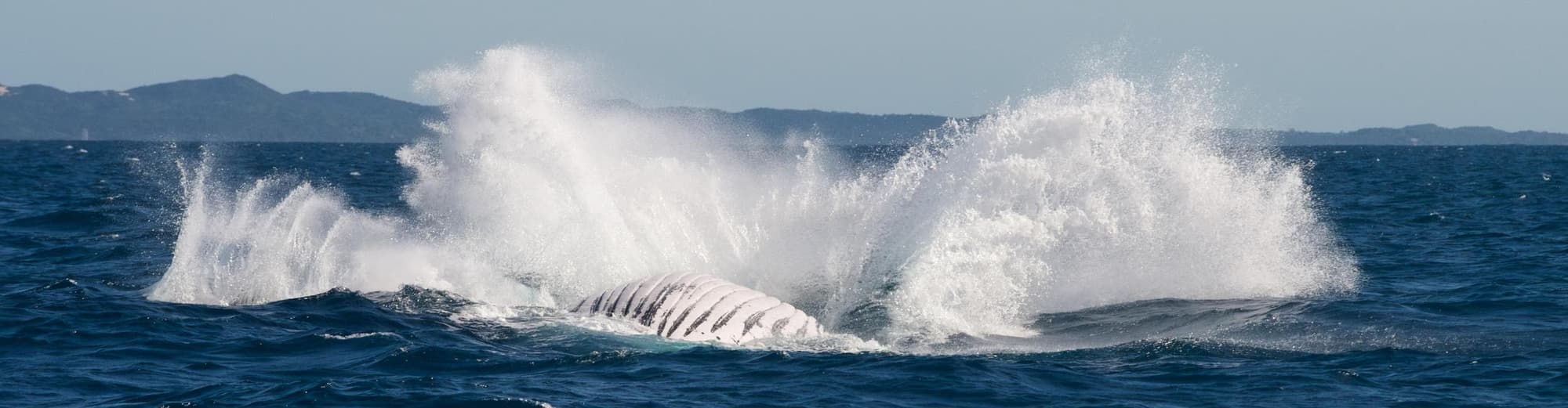 Inhaca, Μοζαμβίκη
