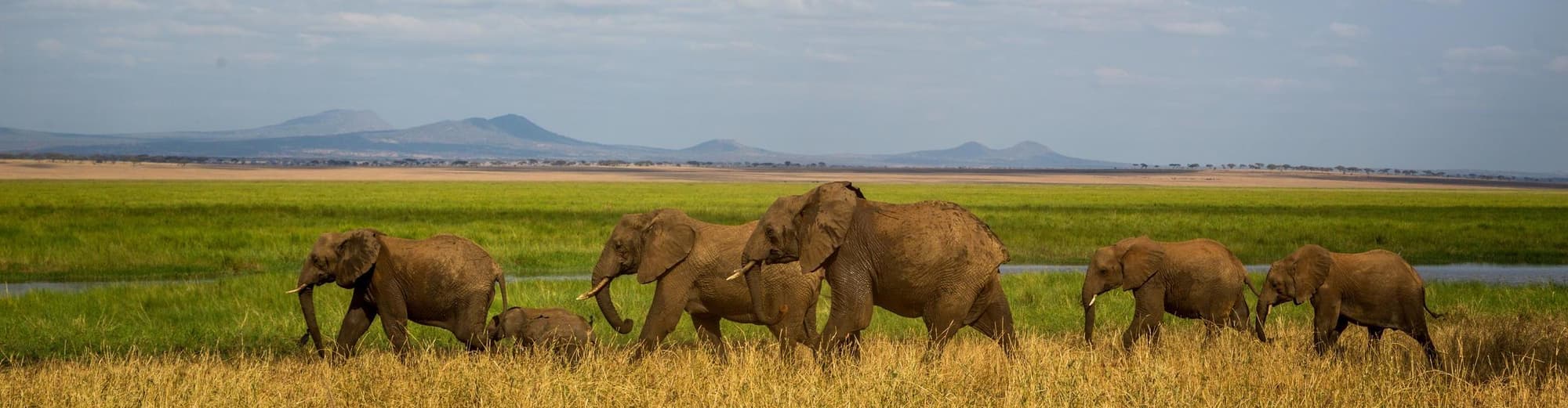 Tarangire Nationalpark, Tanzania