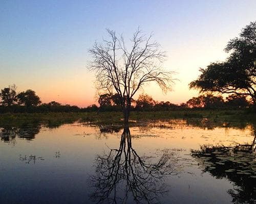 Савути, Ботсвана