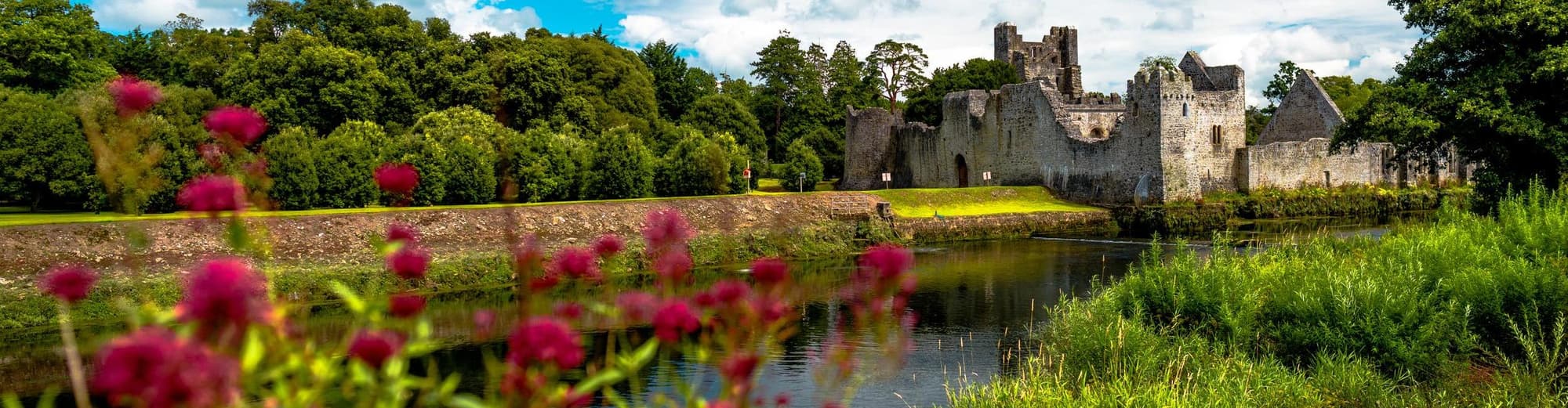 Лимерик, Ирландия