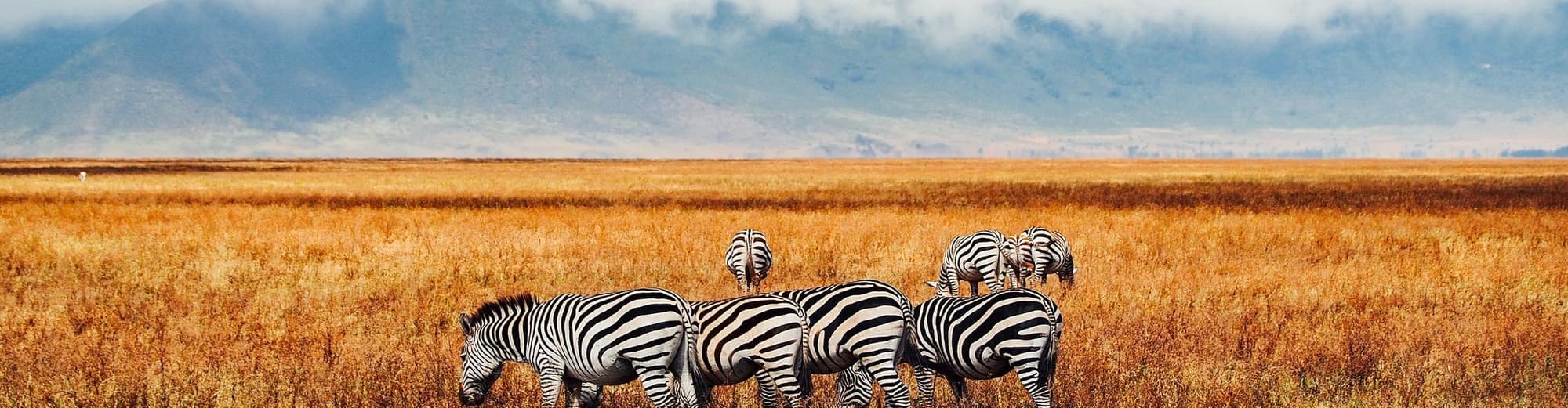 Ngorongoro, Tanzania