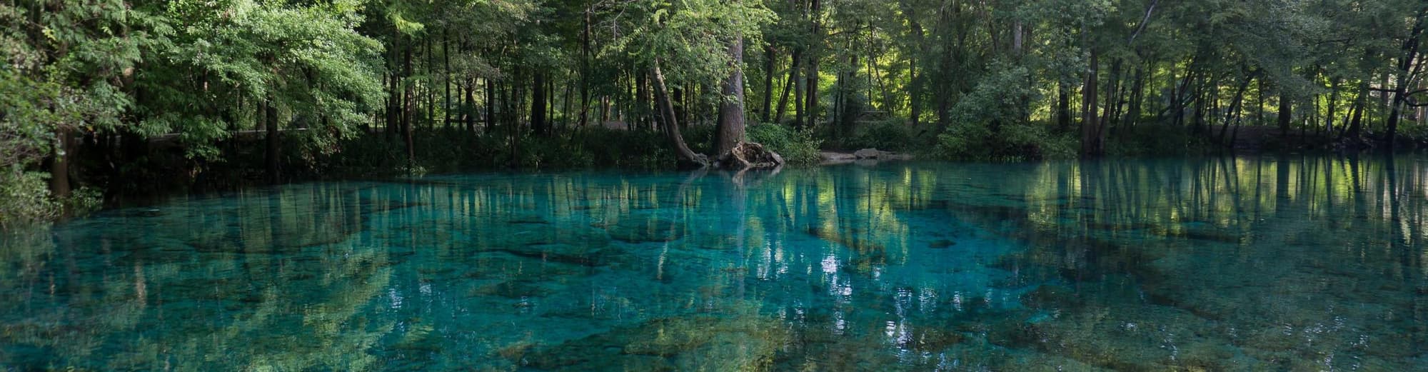 Crystal River FL, United States of America