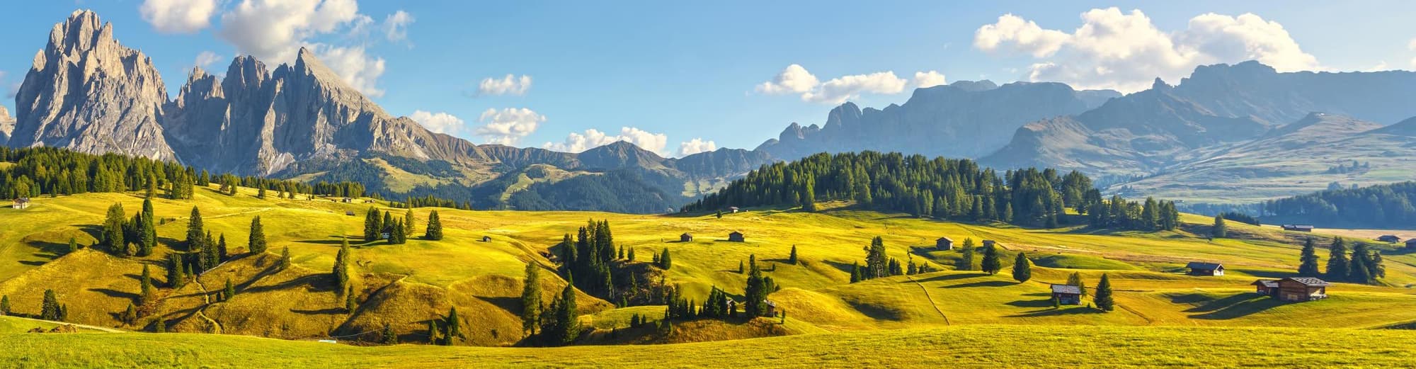 オルティゼーイ, イタリア