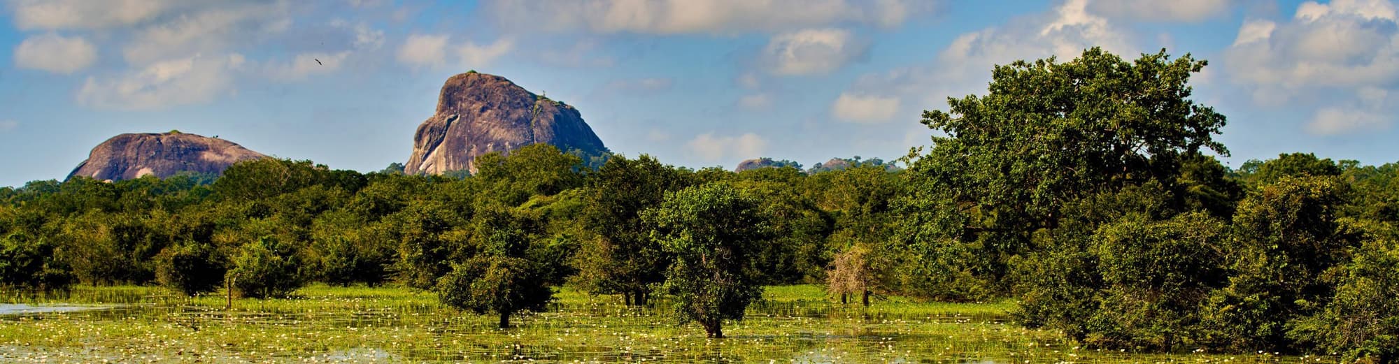 Yala Nationalpark, Sri Lanka