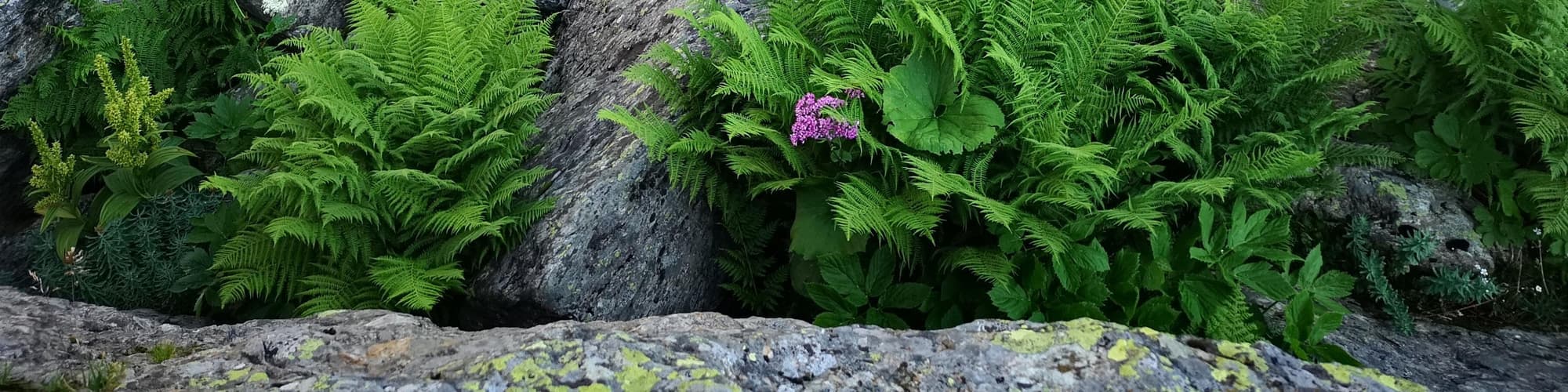 Serralunga d'Alba, Italië