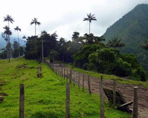 Rundreise "Facettenreiches Kolumbien"  