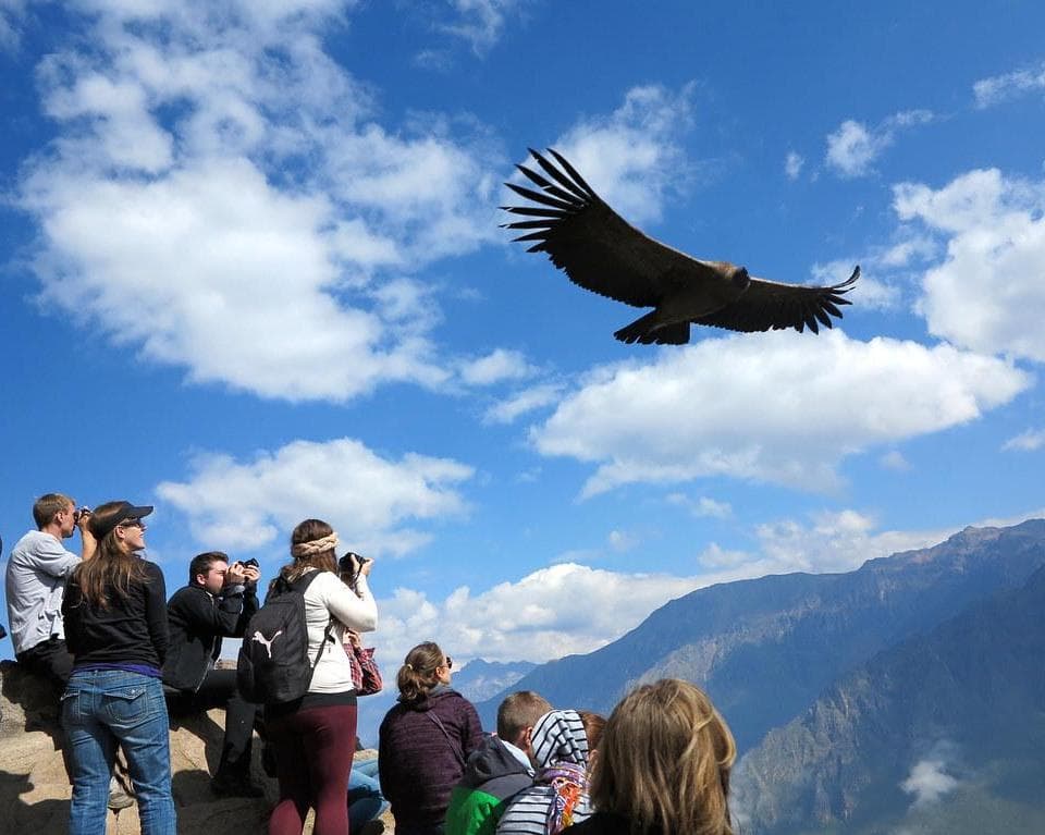 Amazonian Peru 15 Days / 14 Nights