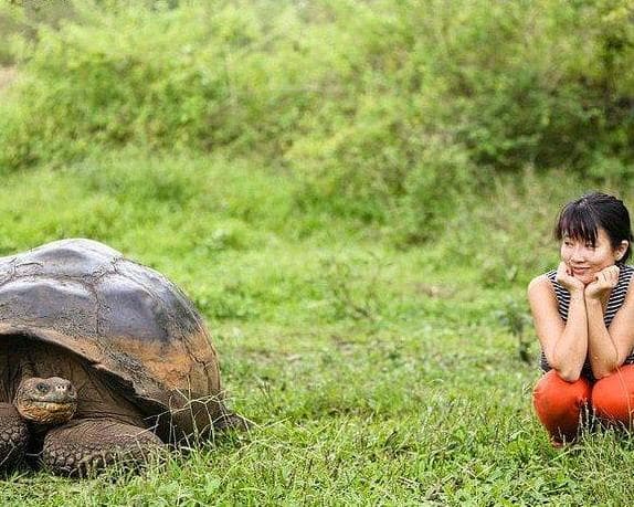 Quito and Galapagos 8 days