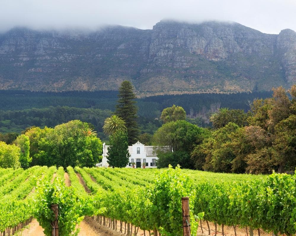 EXPERIENCE SUDAFRICA Urban & Wildlife 