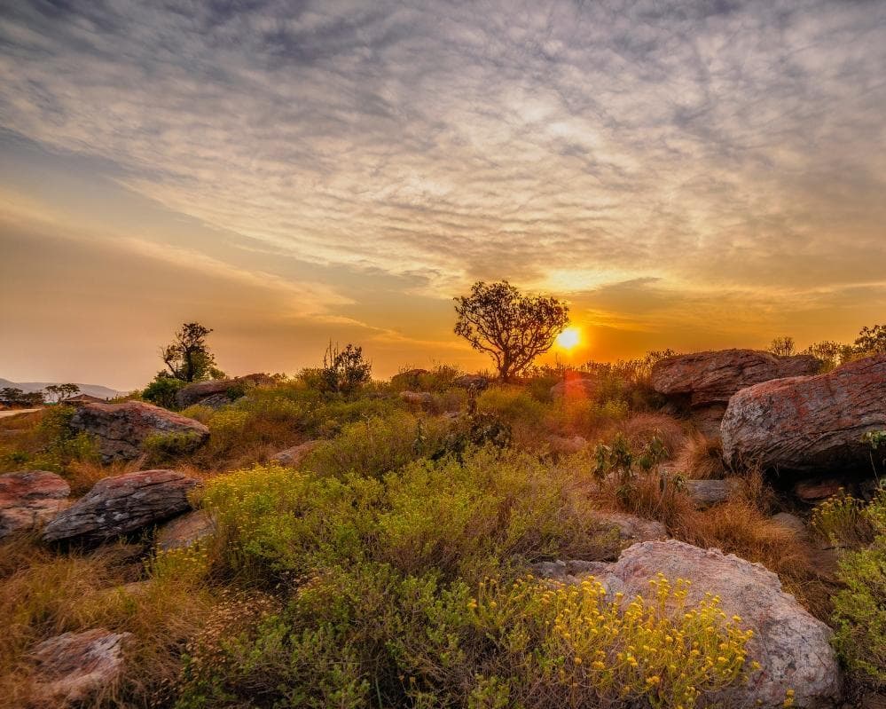 EXPERIENCE SUDAFRICA Urban & Wildlife 