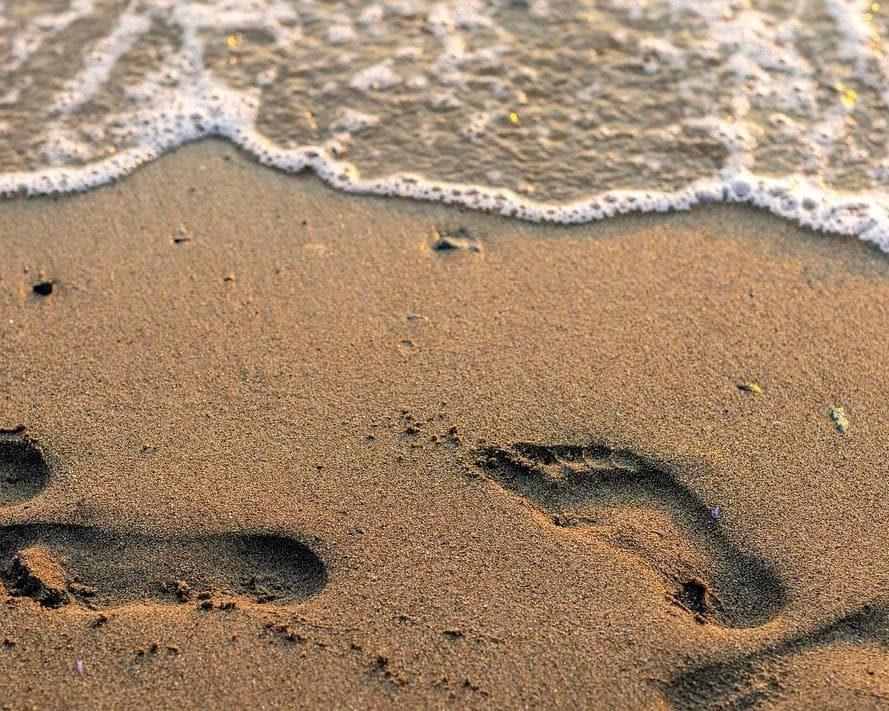 Viñedos y playa en breve