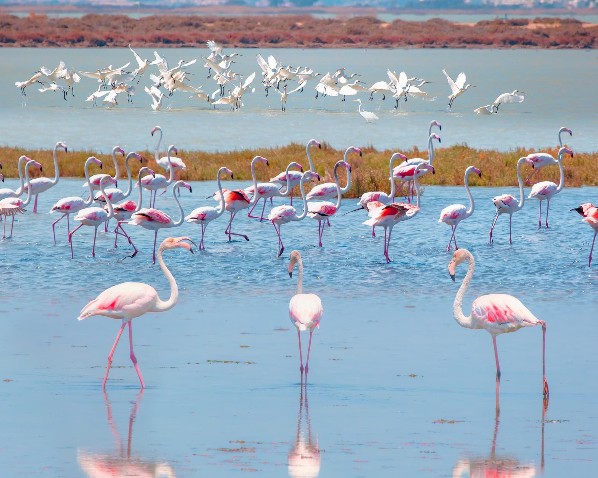 שמורת המשחקים בלולה, דרום אפריקה