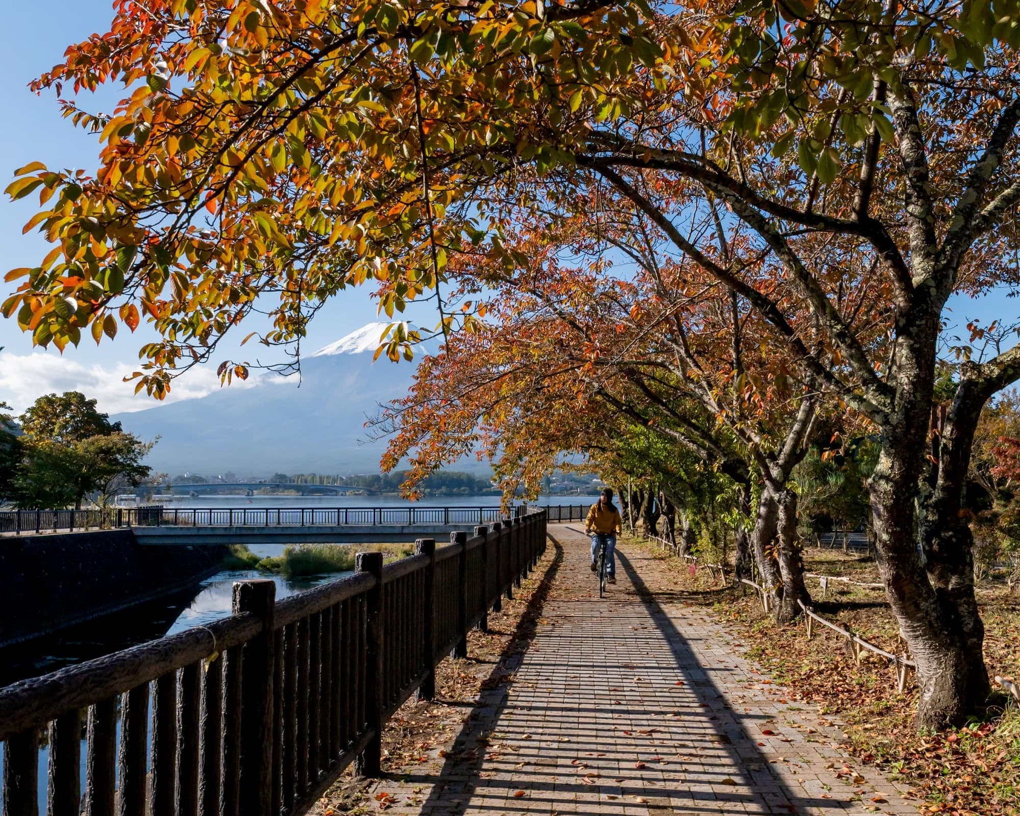 China Clásica y Japón Esencial con Hakone (2026)