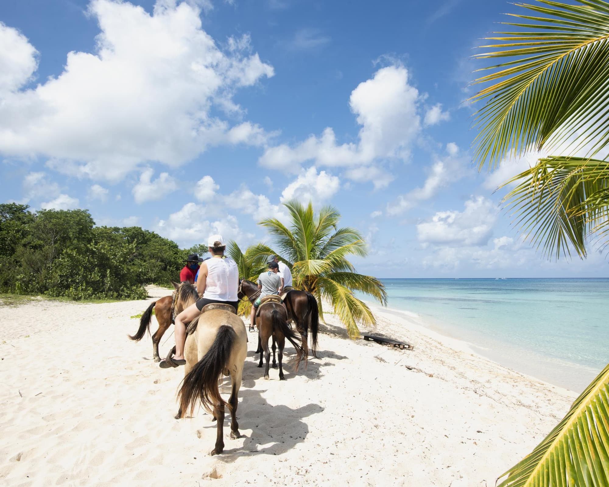 CARIBE - INDEPENDENCE OF THE SEAS