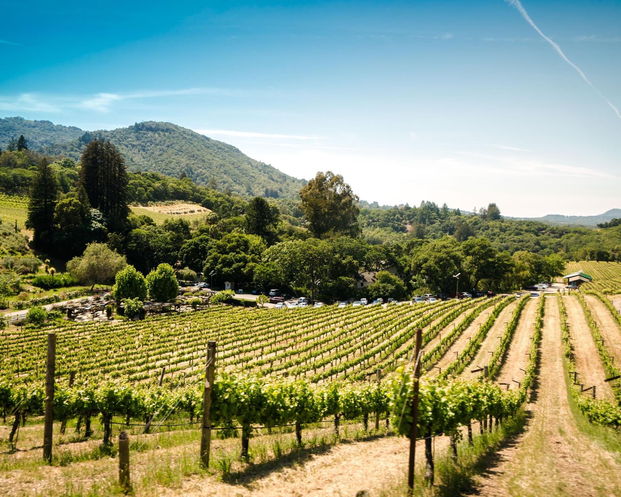 Viñedos y playa en breve