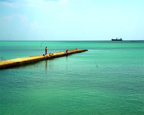 バルチク, ブルガリア