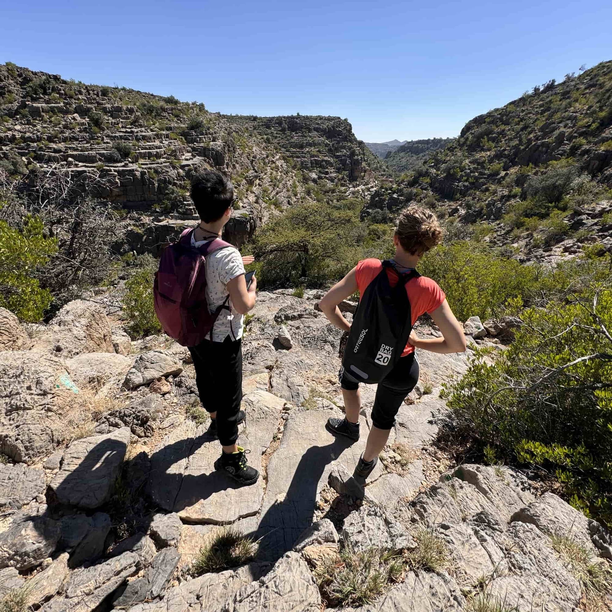 Departure and Ascent to the Mountain