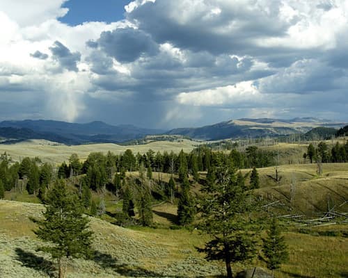 Nacionalni park Yellowstone, WY, Združene države Amerike