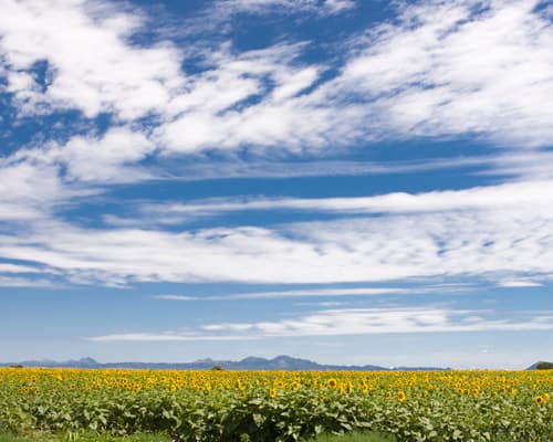 Argentina vs Nueva Zelanda - Ñu Posta Urbana Hotel - AR
