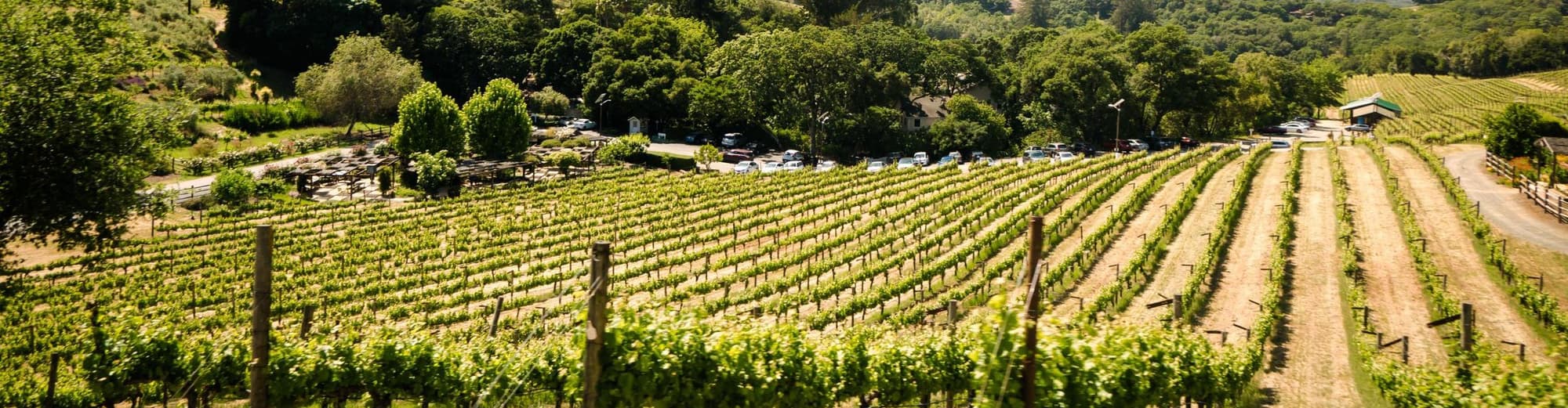 Valle de Guadalupe, México