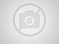 Transfer de Hotel Triton a San Francisco Intl (SFO)