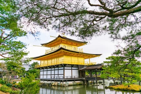 Full Kyoto: Golden Pavilion, Nijo Castle and Bamboo Forest Tour with Tickets
