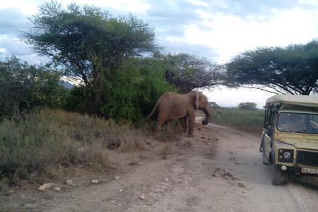 Safári de 12 dias no Quênia e na Tanzânia, saindo de Nairóbi