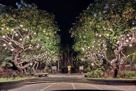 Manila by Night: Discovering City Highlights with Intramuros