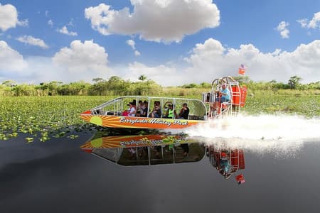 From Miami: Everglades Airboat, Wildlife Show, and Roundtrip Bus