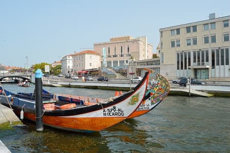 Cruise met een typische boot Moliceiro of Mercantel in Aveiro