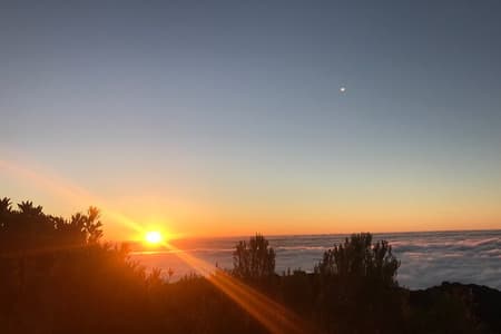 Fanal Forest privéwandeling bij zonsondergang 