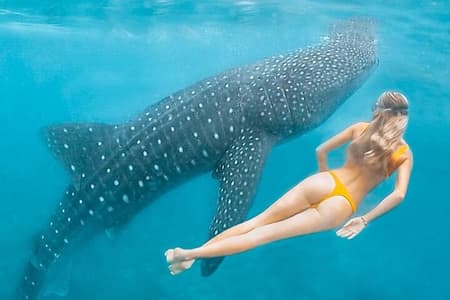 Descubra South Ari Atoll - excursão de dia inteiro saindo da cidade de Malé